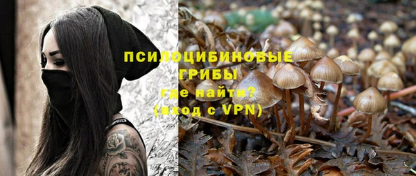 метадон Пестово