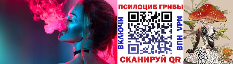 как найти закладки  Пласт  Псилоцибиновые грибы Psilocybe 